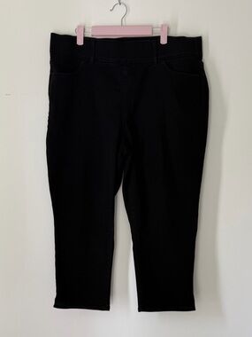 Terra & Sky Black Stretch Denim Cropped Jeans